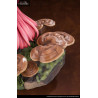 The Mushroom Girls - Mannentake figure, Series No.5