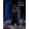 Star Wars - Darth Vader, Praetorian Guard or Executioner Trooper figure of your choice