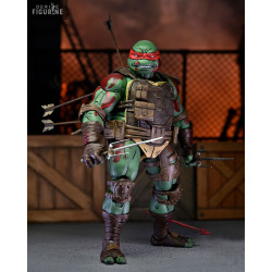 Teenage Mutant Ninja...