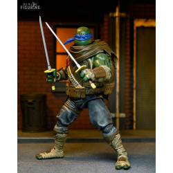 Teenage Mutant Ninja...