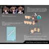 Megami Device - Figurine Buster Doll Gunner, Plastic Model Kit