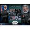 Star Wars: Ahsoka - Baylan Skoll figure