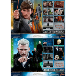 Fantastic Beasts 2 - Newt...