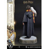 Harry Potter with Hedwig figure, Prime Collectibles