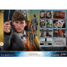 Fantastic Beasts 2 - Newt Scamander or Gellert Grindelwald figure of your choice, Movie Masterpiece