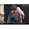 Figurine Harry Potter with Hedwig, Prime Collectibles