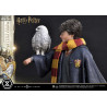 Harry Potter with Hedwig figure, Prime Collectibles