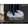 Harry Potter with Hedwig figure, Prime Collectibles