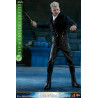 Fantastic Beasts 2 - Newt Scamander or Gellert Grindelwald figure of your choice, Movie Masterpiece