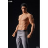 Yakuza - Kazuma Kiryu figure Fierce Fighting, Digsta