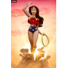 DC Comics - Figurine Wonder Woman, Animated Series Collection