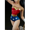 DC Comics - Figurine Wonder Woman, Animated Series Collection