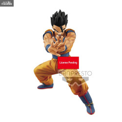 Dragon Ball - Son Gohan...