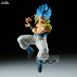Dragon Ball Super - SSGSS...