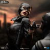 DC Comics - Batman & Catwoman figure, Diorama