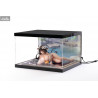 Azur Lane - Window display with lighting for Kashino, Hot Springs Relaxation
