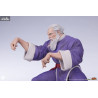Street Fighter - Pack figures Zangief & Gen, Street Jam