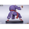 Street Fighter - Pack figures Zangief & Gen, Street Jam