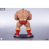 Street Fighter - Pack figures Zangief & Gen, Street Jam