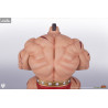 Street Fighter - Pack figures Zangief & Gen, Street Jam