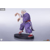 Street Fighter - Pack figures Zangief & Gen, Street Jam
