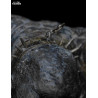 The Lord of the Rings - Cave troll figure