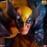 Marvel, X-Men - Wolverine figure, Berserker Rage