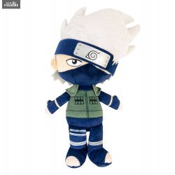 Naruto Shippuden - Kakashi...
