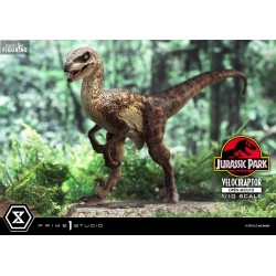 Jurassic Park - Figurine...