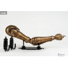 Elden Ring - Arm of Malenia Replica