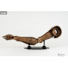 Elden Ring - Arm of Malenia Replica