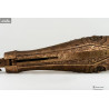 Elden Ring - Arm of Malenia Replica