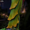 DC Comics, Gotham City Sirens - Poison Ivy figure, Art Scale