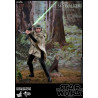 Star Wars - Luke Skywalker Endor Classic or Deluxe figure, Movie Masterpiece