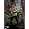 Star Wars - Luke Skywalker Endor Classic or Deluxe figure, Movie Masterpiece