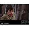 Star Wars - Luke Skywalker Endor Classic or Deluxe figure, Movie Masterpiece
