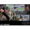 Star Wars - Luke Skywalker Endor Classic or Deluxe figure, Movie Masterpiece