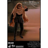 Star Wars - Luke Skywalker Endor Classic or Deluxe figure, Movie Masterpiece