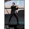 Star Wars - Luke Skywalker Endor Classic or Deluxe figure, Movie Masterpiece