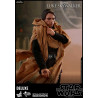 Star Wars - Luke Skywalker Endor Classic or Deluxe figure, Movie Masterpiece