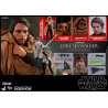 Star Wars - Luke Skywalker Endor Classic or Deluxe figure, Movie Masterpiece