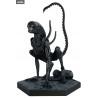 The Alien & Predator - Figurine Alien Xenomorph (Alien Covenant)