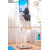 Original Character - Figurine Shokyu Sensei's Dance Lesson