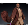 Star Wars Episode III - Mace Windu figure, Premium Format