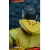 The Flash DC Comics - Figurine Reverse Flash