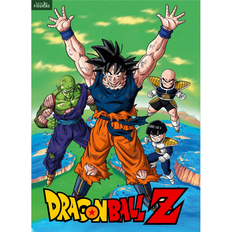 Fleece blanket Dragon Ball,...