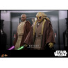 Star Wars - Kit Fisto figure, Movie Masterpiece