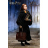 Harry Potter - Figure Ginny Weasley, My Favourite Movie
