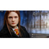 Harry Potter - Figure Ginny Weasley, My Favourite Movie