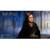 Harry Potter - Figure Ginny Weasley, My Favourite Movie